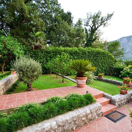 Djardin Apartment Kotor Exterior foto